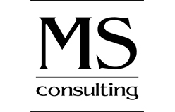 msconsultinglogosquare.png1542290628