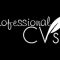 Professional cv Business