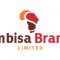 Simbisa Brands Limited
