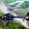 Tatenda Safaris